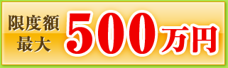 限度額 最大500万円