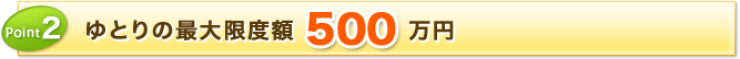 Point2 ゆとりの最大限度額 500万円